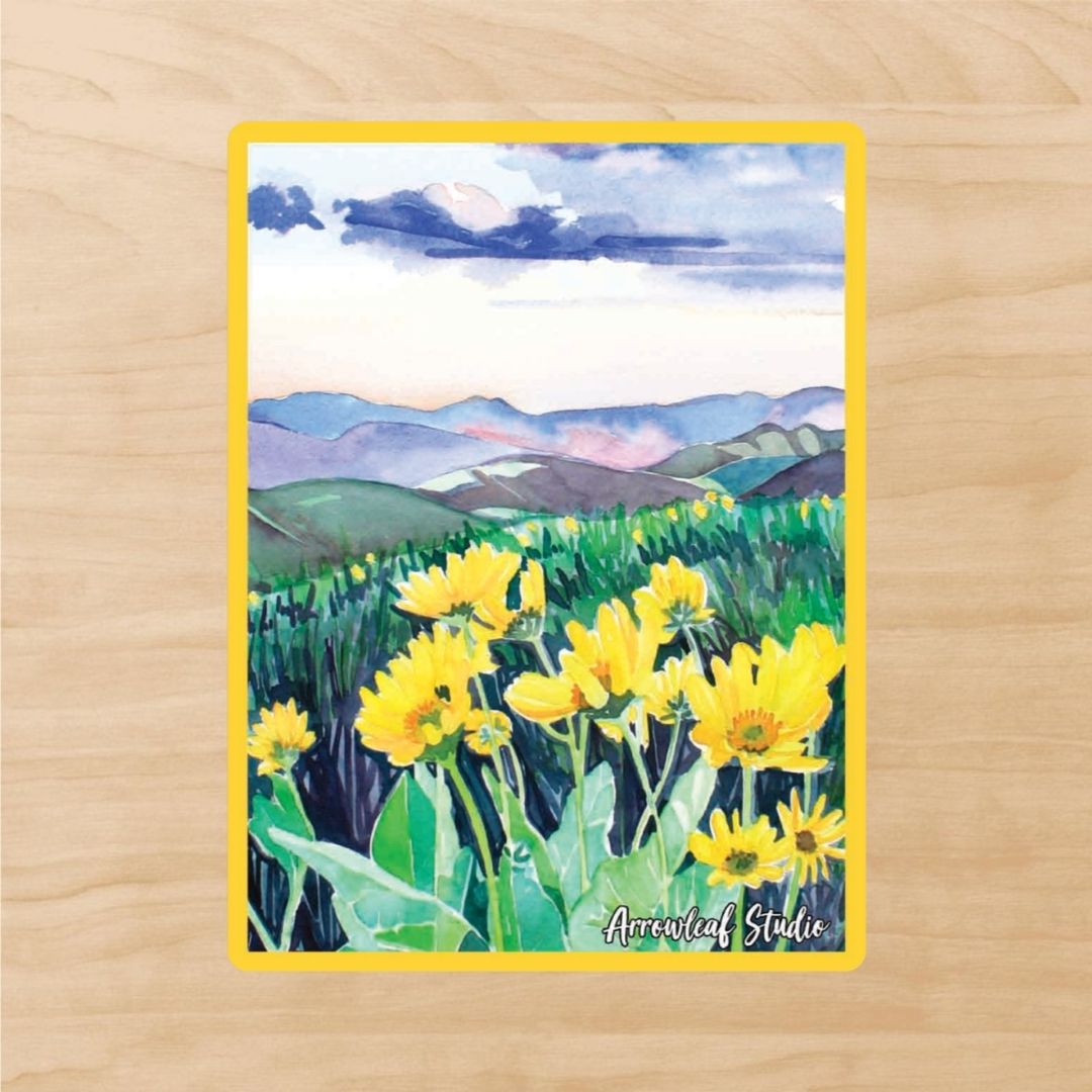 Balsamroot in the Methow Sticker