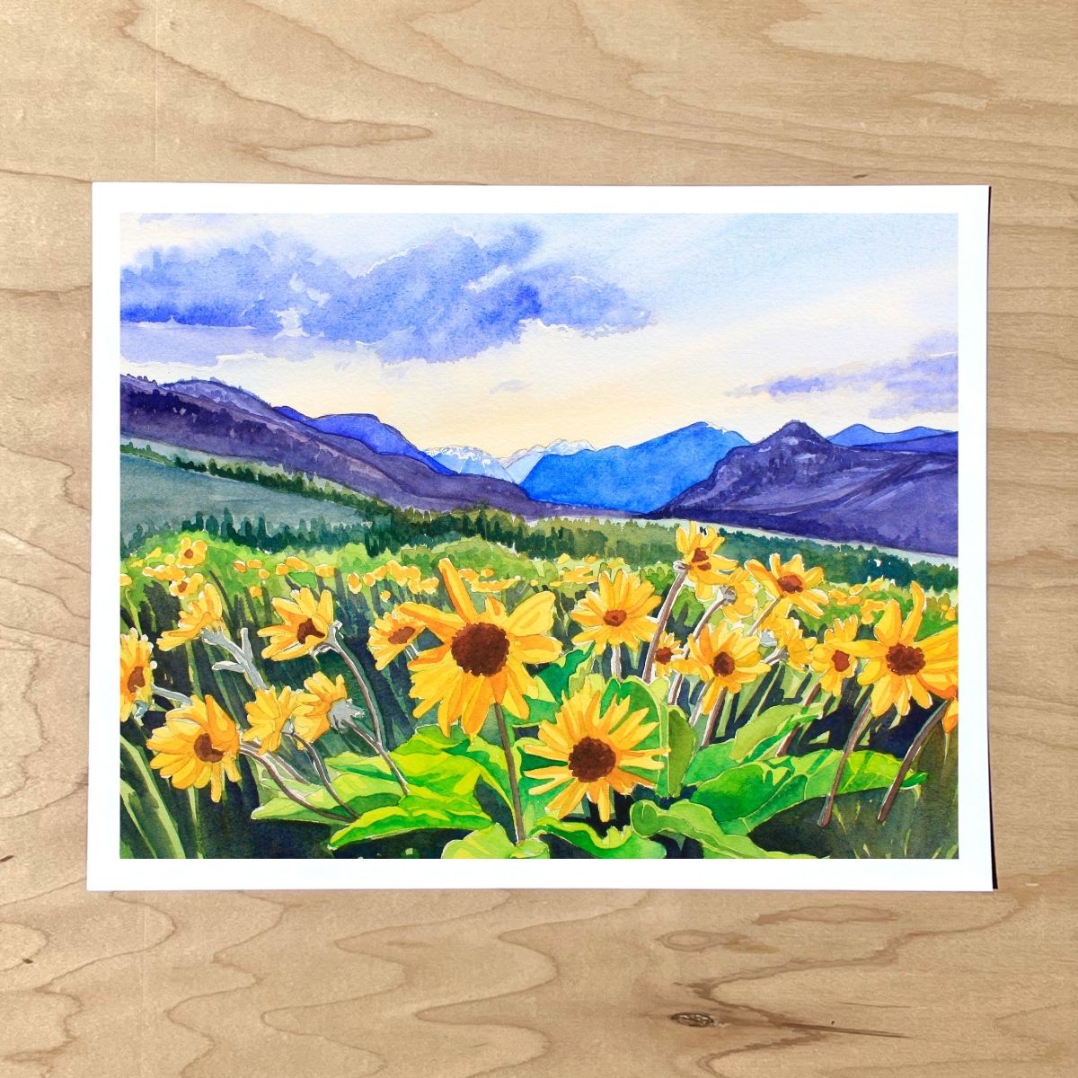 Balsamroot at Dusk Print