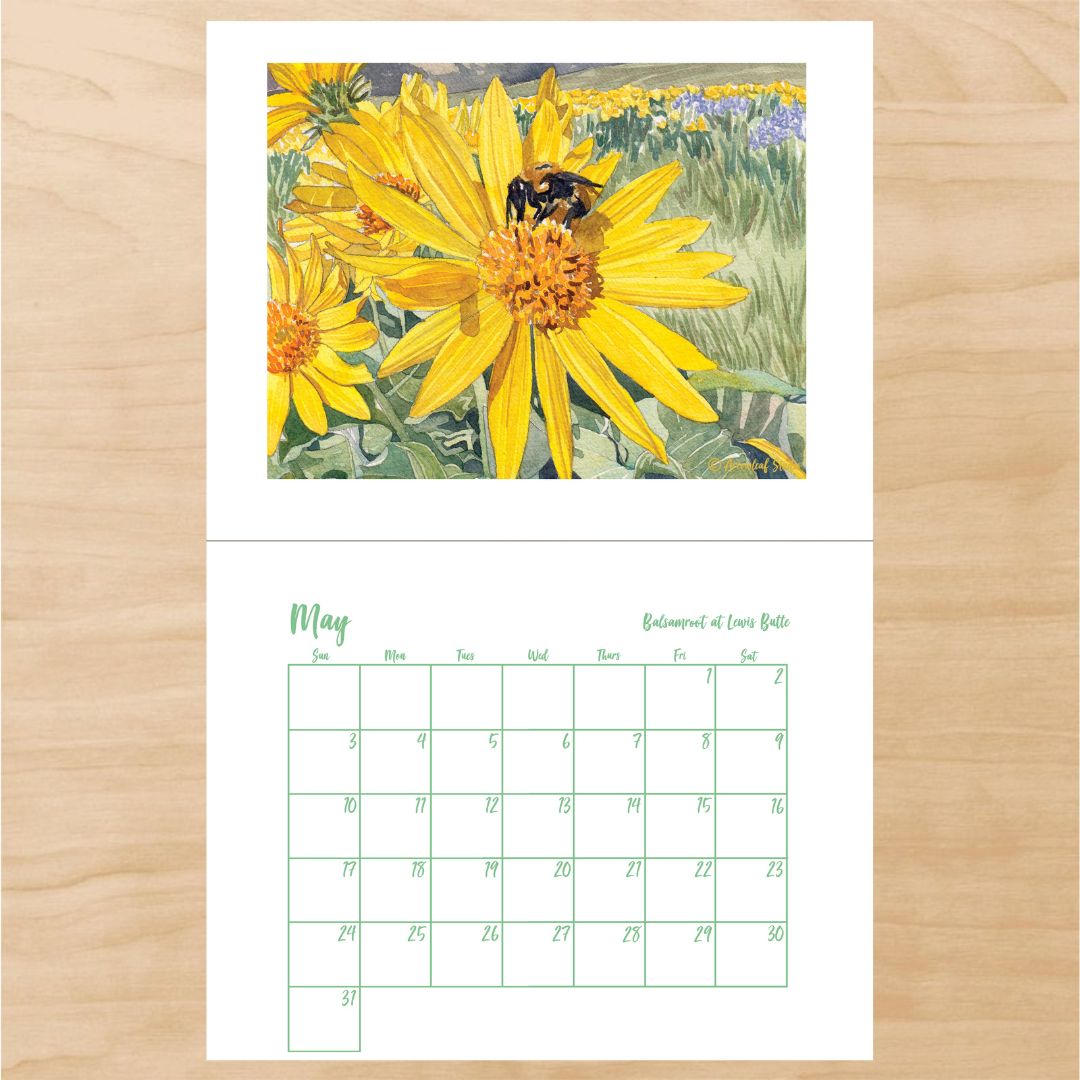 2026 Calendar Pre-Order