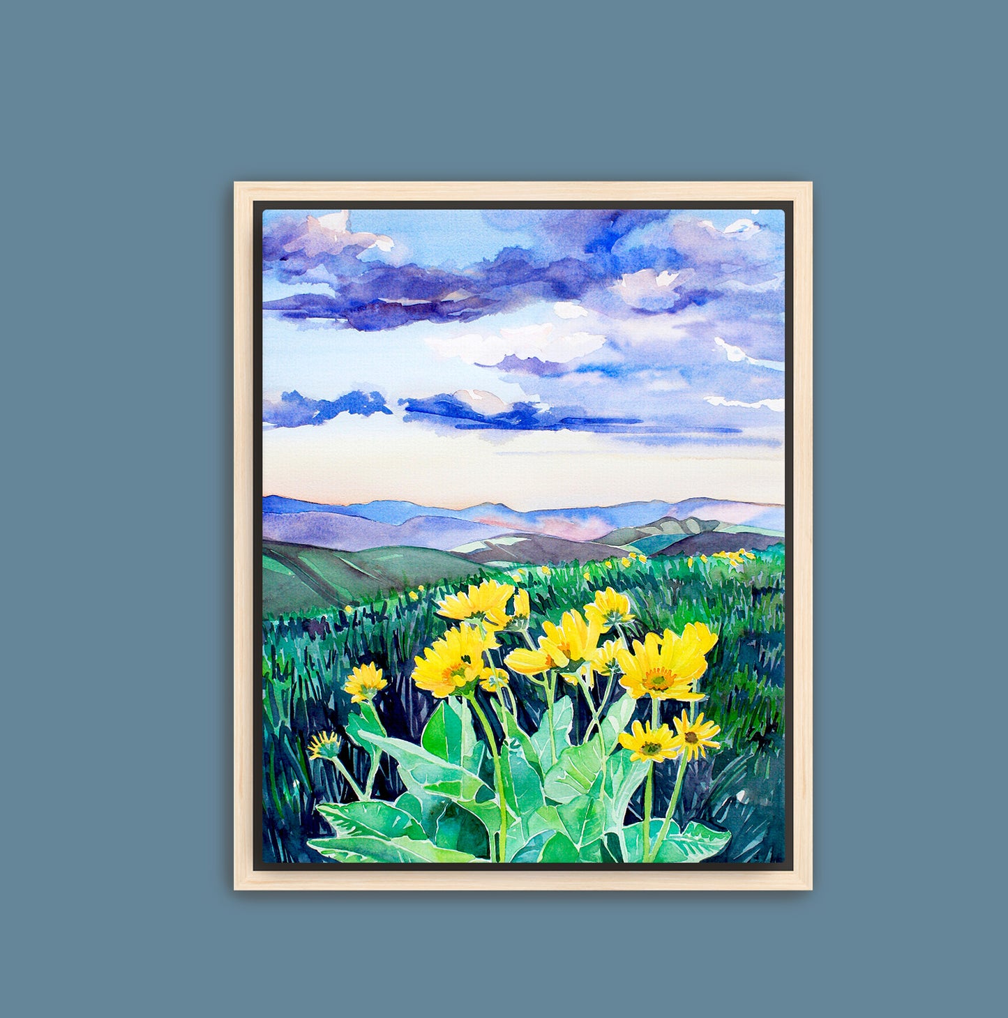 Arrowleaf Balsamroot in the Methow Print