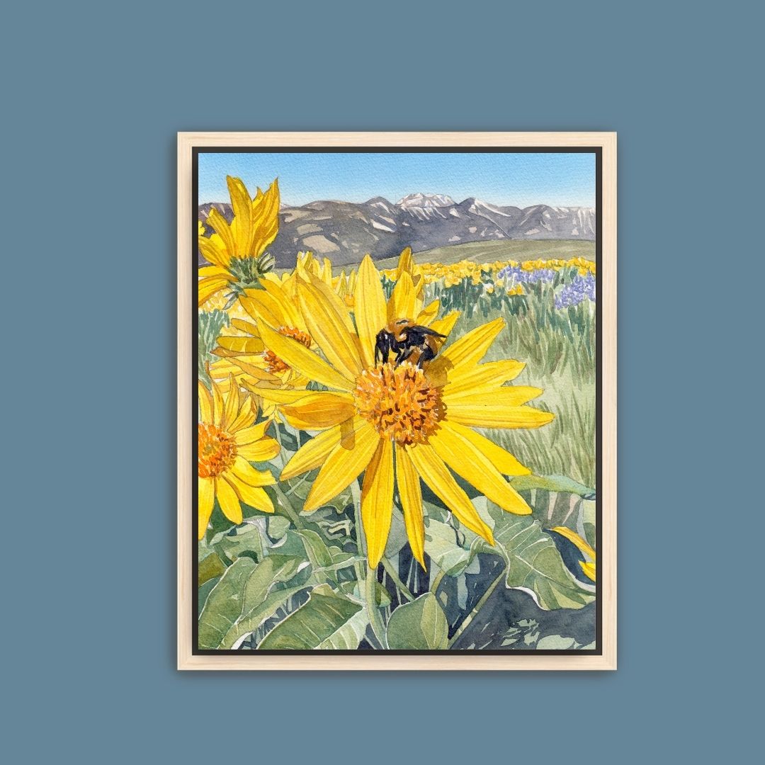 Balsamroot at Lewis Butte Print