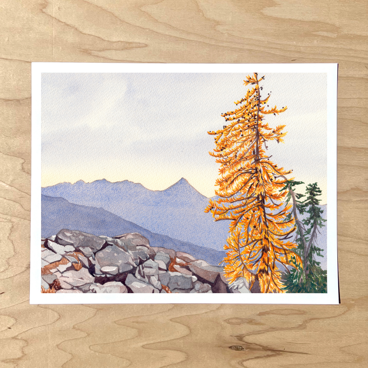 Dancing Larch Print
