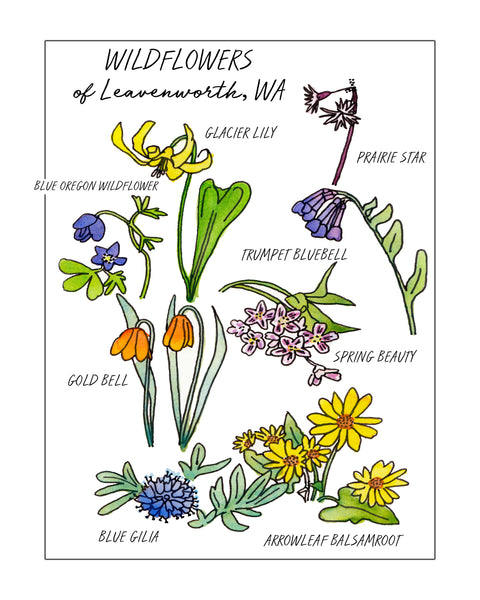 Wildflowers in Leavenworth Print