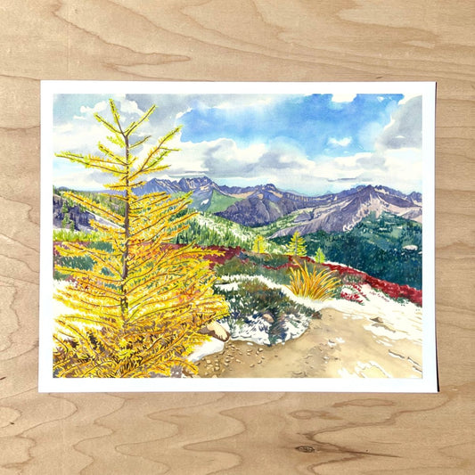 Larch on Cutthroat Pass Print