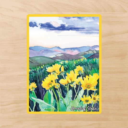 Balsamroot in the Methow Sticker
