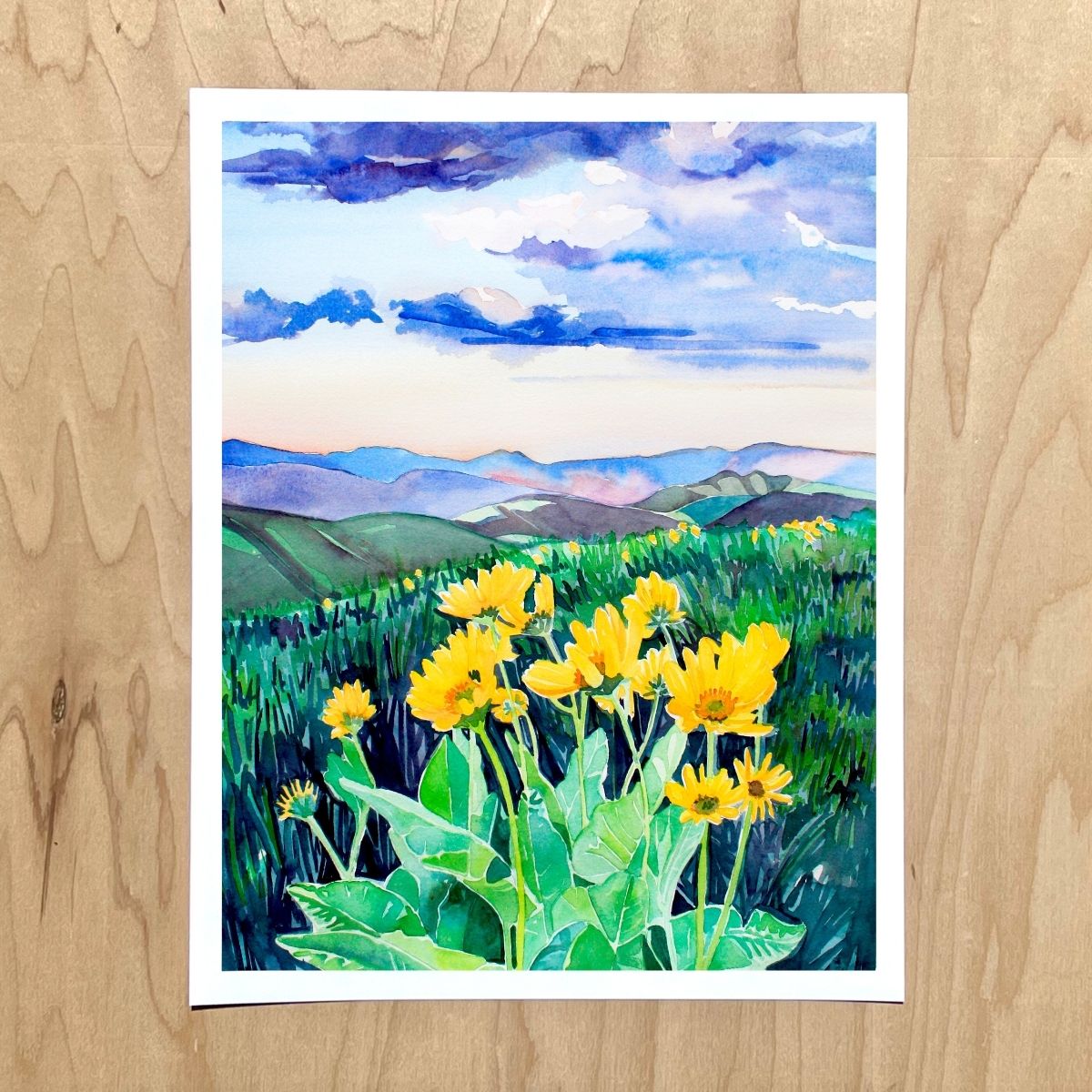 Arrowleaf Balsamroot in the Methow Print