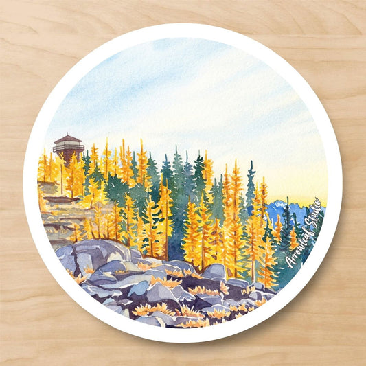 Goat Peak Lookout Coaster