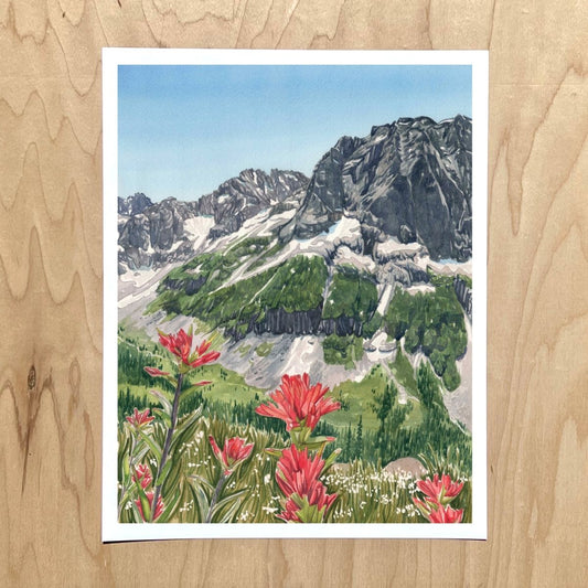 Alpine Paintbrush Print