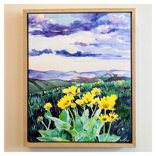 Arrowleaf in the Methow Framed Canvas Print
