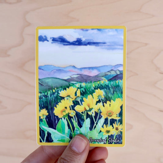 Balsamroot in the Methow Sticker