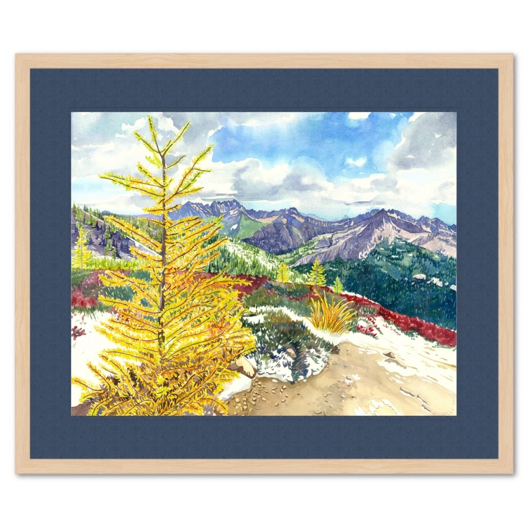 Larch on Cutthroat Original