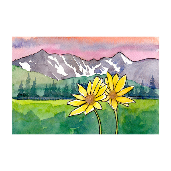 Balsamroot in the Cascades Print
