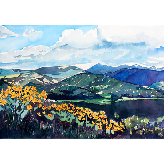 Plain Valley Print